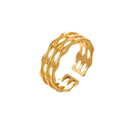 Aurelia Frame Ring ✨